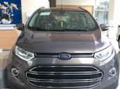 Bán ô tô Ford EcoSport Trend đời 2017, màu nâu