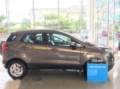 Bán ô tô Ford EcoSport Trend đời 2017, màu nâu