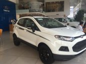 Ford Giải Phóng bán xe Ford EcoSport 2017 đủ các phiên bản, đủ màu, hỗ trợ trả góp, giá chỉ từ 545tr. LH: 0988587365