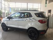 Ford Giải Phóng bán xe Ford EcoSport 2017 đủ các phiên bản, đủ màu, hỗ trợ trả góp, giá chỉ từ 545tr. LH: 0988587365