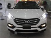 Bán ô tô Hyundai Santa Fe sản xuất 2017, giá cả hợp lí
