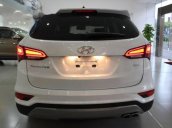 Bán ô tô Hyundai Santa Fe sản xuất 2017, giá cả hợp lí