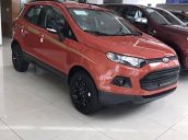 Bán Ford EcoSport Titanium đời 2017, giá tốt