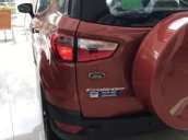 Bán Ford EcoSport Titanium đời 2017, giá tốt