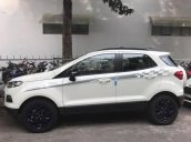 Cần bán xe Ford EcoSport năm 2017, màu trắng