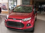 Cần bán xe Ford EcoSport đời 2017, màu đỏ