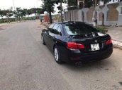 Cần bán xe BMW 5 Series 520i đời 2016, màu đen, nhập khẩu nguyên chiếc