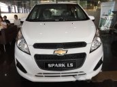 Cần bán xe Chevrolet Spark đời 2017, màu trắng, giá tốt