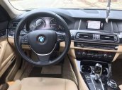 Cần bán xe BMW 5 Series 520i đời 2016, màu đen, nhập khẩu nguyên chiếc