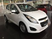 Cần bán xe Chevrolet Spark đời 2017, màu trắng, giá tốt