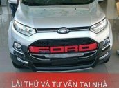 Bán Ford EcoSport 1.5 Titanium đời 2017, màu bạc