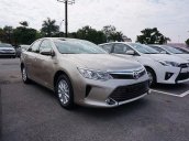 Bán xe Toyota Camry 2.0E đời 2017, màu vàng