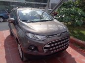 Bán xe Ford EcoSport Trend MT đời 2017, màu nâu