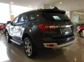 Cần bán Ford Everest đời 2017, màu xám