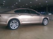 Bán ô tô Volkswagen Passat GP đời 2017, nhập khẩu nguyên chiếc