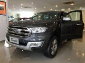 Cần bán Ford Everest đời 2017, màu xám