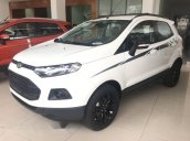 Cần bán xe Ford EcoSport Titanium đời 2017, màu trắng, giá chỉ 565 triệu