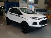 Bán Ford EcoSport đời 2017, màu trắng, Tel: 0919.263.586