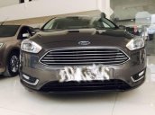 Bán Ford Focus Ecoboost 2016, màu nâu, giá tốt