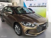 Cần bán xe Hyundai Elantra 2.0AT đời 2017, màu nâu, 699 triệu