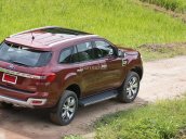 Ford Everest dòng cao cấp 2.2L 4x2 Titanium AT 2017, nhập khẩu nguyên chiếc Thái Lan