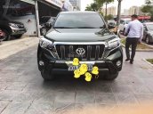 Cần bán gấp Toyota Prado 2.7 năm 2014, xe nhập