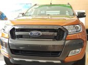 Bán Ford Ranger 2017, nhập khẩu nguyên chiếc, gọi ngay 0938 070 954. Cam kết giá tốt nhất miền Nam