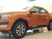 Bán Ford Ranger 2017, nhập khẩu nguyên chiếc, gọi ngay 0938 070 954. Cam kết giá tốt nhất miền Nam