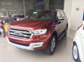 Bán Ford Everest Titanium 2.2L 2017, xe nhập hỗ trợ vay 80%-LS: 0.7%, khuyến mãi hấp dẫn