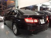 Bán BMW 5 Series 528i sản xuất 2010, màu đen, nhập khẩu nguyên chiếc