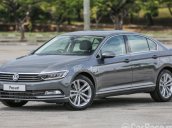 Passat Bluemotion đời mới, nhập khẩu chính hãng LH Long 0933689294