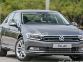 Passat Bluemotion đời mới, nhập khẩu chính hãng LH Long 0933689294