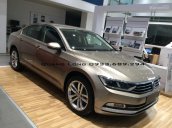 Bán Volkswagen Passat màu vàng cát - LH Quang Long 0933689294