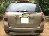 Cần bán lại xe Chevrolet Captiva LTZ đời 2008, màu vàng số tự động, giá 335tr