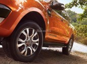 Bán xe Ford Ranger Ranger Wildtrak đời 2017, hỗ trợ vay 80%