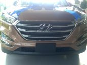 Bán Hyundai Tucson CKD đời 2017, màu nâu, giá khởi điểm 845tr - Đặt hàng ngay hôm nay - nhận ngay 30tr tiền mặt