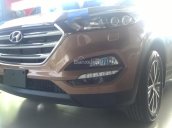 Bán Hyundai Tucson CKD đời 2017, màu nâu, giá khởi điểm 845tr - Đặt hàng ngay hôm nay - nhận ngay 30tr tiền mặt