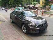 Volkswagen Passat GP màu nâu sang trọng - Ưu đãi lớn LH Quang Long 0933689294