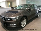 Volkswagen Passat GP màu nâu sang trọng - Ưu đãi lớn LH Quang Long 0933689294