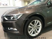 Volkswagen Passat GP màu nâu sang trọng - Ưu đãi lớn LH Quang Long 0933689294