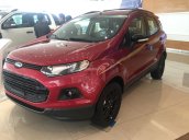 Bán ô tô Ford EcoSport black edition đời 2017, đủ màu giao ngay, hỗ trợ trả góp 80% giá trị xe