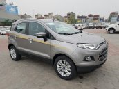 Bán Ford EcoSport Titanium đời 2017, hỗ trợ trả góp 80% giá trị xe, lãi suất 6.9%