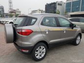 Bán Ford EcoSport Titanium đời 2017, hỗ trợ trả góp 80% giá trị xe, lãi suất 6.9%