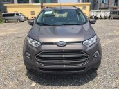 Bán xe Ford EcoSport Titanium năm 2017, giá tốt nhất, giao xe tại nhà