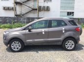 Bán xe Ford EcoSport Titanium năm 2017, giá tốt nhất, giao xe tại nhà