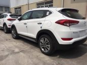 Cần bán Hyundai Tucson đời 2017, màu trắng