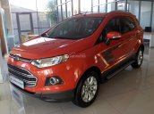 Ford Ecosport VIP Full Option 2017 - Liên hệ ngay - giá cạnh tranh