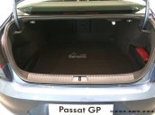 Passat GP mâm 18" phiên bản cao cấp nhập khẩu Germany - LH hotline 0933689294