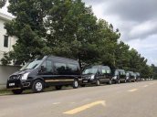 Bán Ford Transit Autokingdom Limousine năm 2017, màu đen