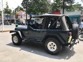 Cần bán lại xe Jeep Wrangler đời 1995, màu xanh lam, nhập khẩu số sàn
